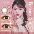 Charton Biscuit Smore Daily Disposable Contact Lenses on Sale