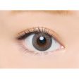 Angelcolor Bambi Pearl Gray Daily Disposable Color Contact Lenses Online Sale