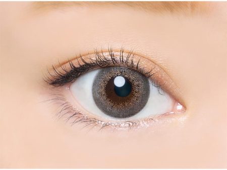 Angelcolor Bambi Pearl Gray Daily Disposable Color Contact Lenses Online Sale