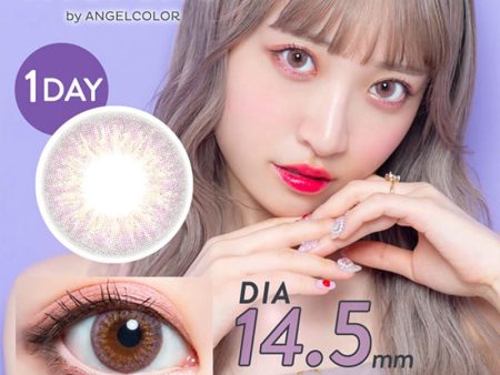 merche 1day Lavender Tea Daily Disposable Color Contact Lenses Supply