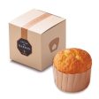 Boulmich Tokyo Ginza Chestnut Cream Cupcake Supply