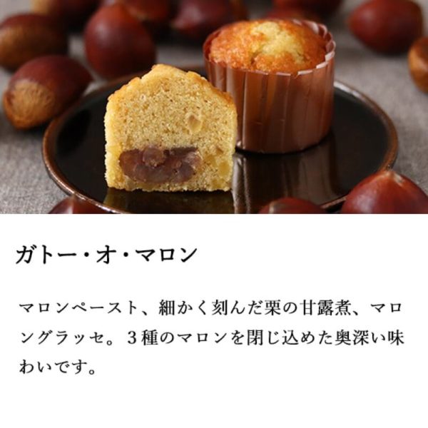 Boulmich Tokyo Ginza Chestnut Cream Cupcake Supply