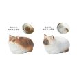 Mini Cat Planter (Assorted Designs Available) For Sale