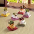 Mini Cat Planter (Assorted Designs Available) For Sale