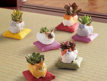 Mini Cat Planter (Assorted Designs Available) For Sale