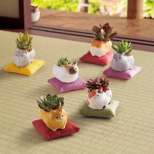 Mini Cat Planter (Assorted Designs Available) For Sale