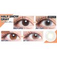 colors Monthly Airy Brown Color Contact Lenses Supply